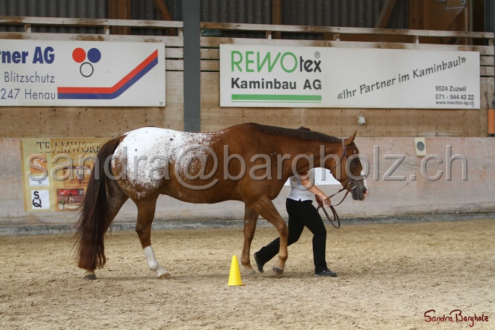 24-ApHC HIH_061.jpg
